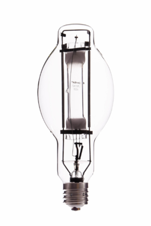 Metal Halide Bulb